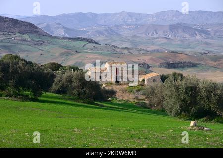 Olivenbaum und altes Steinhaus in Sizilien, Italien Stockfoto