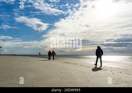 Nordsee, Spiekeroog Island, Herbst, starker Wind treibt bei Ebbe den Sand über das Watt, Strandspaziergang, Westküste der ostfriesischen Insel, Lowe Stockfoto