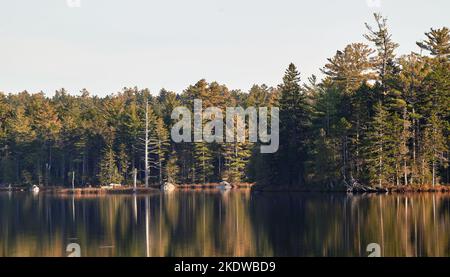 Reflections on Nierenteich, Baxter State Park, Maine Stockfoto