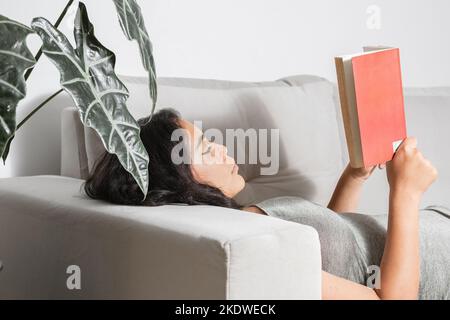 Brunette Mädchen liegt auf ihrer Couch Lesung ein Buch mit großer Konzentration. student der universität für eine Prüfung zu studieren. Stockfoto