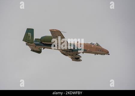 Maj. Haden Fullam, A-10C Thunderbolt II Demonstrationsteam-Kommandant und Pilot, fliegt über den Luftwaffenstützpunkt Davis-Monthan, Arizona, 3. November 2022. Fullam flog eine Fähigkeitsdemonstration des A-10 Thunderbolt II vor pensionierten F-105 Thunderchief Piloten im Rahmen eines Routine-Übungsprogramm. Während der Vorstellung zeigte Fullam verschiedene Flugmanöver, einschließlich simulierter Waffenauslieferung, wobei die Kampffähigkeiten der A-10 hervorgehoben wurden. (USA Foto der Luftwaffe von Staff Sgt. Alex Miller) Stockfoto