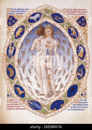 Die Limbourg Brothers. Les Tres Riches Heures du Duc de Berry, Französisch 15. Jahrhundert, Tierkreis und Anatomie von Mann und Frau. Stockfoto