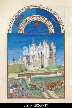 Frankreich: Weinlese im Chateau de Samur, September im Kalenderteil des Tres Riches Heures du Duc de Berry, tempera on vellum, Limbourg Brothers, c. 1415 u.Z. der Tres Riches Heures du Duc de Berry ist das berühmteste und möglicherweise das beste erhaltene Beispiel der französischen gotischen Handschriftenmalerei, die die spätinternationale gotische Phase des Stils zeigt. Es ist ein Stundenbuch: Eine Sammlung von Gebeten, die zu den kanonischen Stunden gesprochen werden. Stockfoto