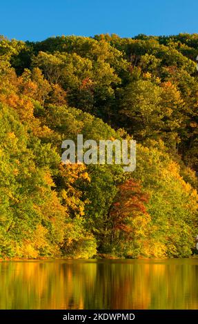 Schwarzer Teich, schwarzen Teich Zustand Boot Start, Connecticut Stockfoto