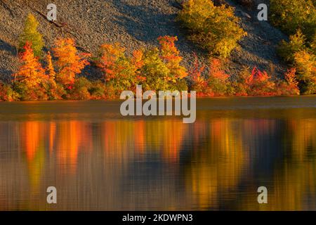 Schwarzer Teich, schwarzen Teich Zustand Boot Start, Connecticut Stockfoto