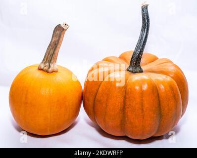 Zwei unterschiedlich große Kürbisse zusammen auf weißem Hintergrund Stockfoto