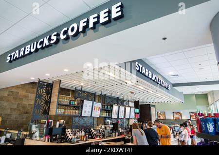 Miami Beach, Florida, Starbucks Coffee counter Gäste Mann Männer Erwachsene Erwachsene, Inneneinrichtung, Restaurant Restaurants Essen Essen Essen in zwangloser Atmosphäre Stockfoto