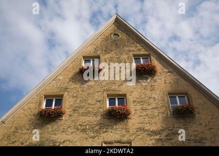 Gebäudefassade im alten architektonischen Stil und Fenster mit roten Geranien in Blumenkästen, Weikersheim, Württemberg, Deutschland. Stockfoto