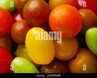 Appetitliche bunte Tomaten aus nächster Nähe. Viele Objekte. Helle Farben. Eine reiche Ernte. Bio-Lebensmittel. Gesunder Lebensstil. Es gibt keine Menschen in Th Stockfoto