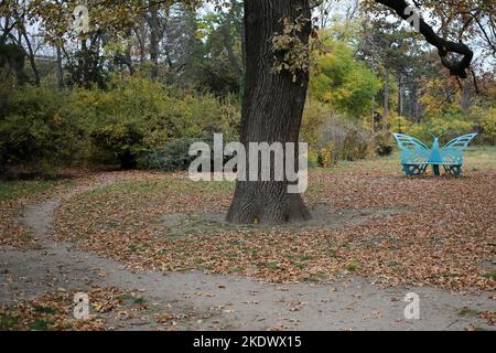 Odessa, Ukraine. 5.. November 2022. Im Botanischen Garten sind eine schmetterlingsförmige Bank und ein alter Baum zu sehen. Botanischer Garten der Odessa National University benannt nach Ilya Mechnikov. Mehr als 3.000 Arten von Grünflächen werden auf dem Territorium des Gartens mit einer Fläche von etwa 16 Hektar präsentiert. Der Garten ist eine pädagogische Abteilung der Fakultät für Biologie der Universität, auf seiner Grundlage Diplom-und Semester Papiere werden jährlich durchgeführt, die wissenschaftlichen Mitarbeiter des Gartens am Bildungsprozess teilnehmen.im Jahr 1963 wurde der Botanische Garten den Status eines Park-Denkmal erhalten Stockfoto