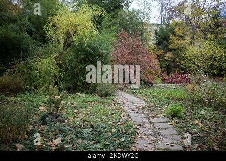 Odessa, Ukraine. 5.. November 2022. Herbstfarben sind im Botanischen Garten auf dem French Boulevard zu sehen. Botanischer Garten der Odessa National University benannt nach Ilya Mechnikov. Mehr als 3.000 Arten von Grünflächen werden auf dem Territorium des Gartens mit einer Fläche von etwa 16 Hektar präsentiert. Der Garten ist eine pädagogische Abteilung der Fakultät für Biologie der Universität, auf seiner Grundlage Diplom-und Semester Papiere werden jährlich durchgeführt, die wissenschaftlichen Mitarbeiter des Gartens am Bildungsprozess teilnehmen.im Jahr 1963 wurde der Botanische Garten den Status eines Park-Denkmal erhalten Stockfoto