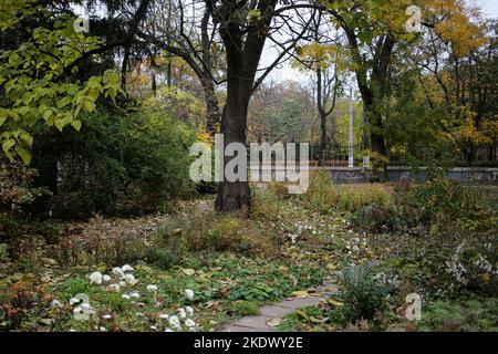 Odessa, Ukraine. 5.. November 2022. Herbstfarben sind im Botanischen Garten auf dem French Boulevard zu sehen. Botanischer Garten der Odessa National University benannt nach Ilya Mechnikov. Mehr als 3.000 Arten von Grünflächen werden auf dem Territorium des Gartens mit einer Fläche von etwa 16 Hektar präsentiert. Der Garten ist eine pädagogische Abteilung der Fakultät für Biologie der Universität, auf seiner Grundlage Diplom-und Semester Papiere werden jährlich durchgeführt, die wissenschaftlichen Mitarbeiter des Gartens am Bildungsprozess teilnehmen.im Jahr 1963 wurde der Botanische Garten den Status eines Park-Denkmal erhalten Stockfoto