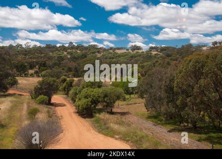 Farmland in den Darling Ranges östlich von Perth, neben der Indian Pacific Railway, Australien Stockfoto