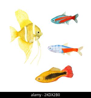 Ein Satz tropischer Fische, in einem Aquarell-Stil isoliert auf weißem Hintergrund. Angelfisch, Neon-tetrafisch für Banner, Poster, Print, Postkarte, Textil Stockfoto