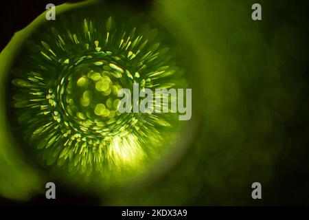 Grüne Glitzer-Reflexionen durch eine Objektivkugel, auf schwarzem Hintergrund, Softfokus-Fotografie Stockfoto