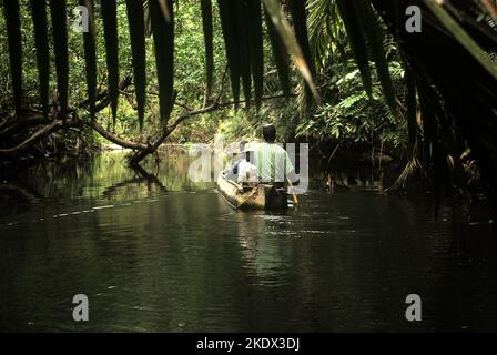 Nationalpark-Ranger und Journalisten reisen mit dem Boot auf dem Cigenter River durch den Tieflandwald der Handeuleum Island, einem Teil des Ujung Kulon Nationalparks in Pandeglang, Banten, Indonesien. Stockfoto