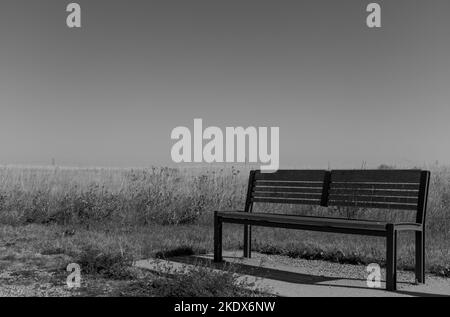 Schwarz-weiße Perspektive einer einsamen Bank in den Prärien Stockfoto