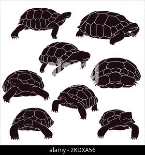 Handgezeichnete Silhouette von Schildkröte Stock Vektor