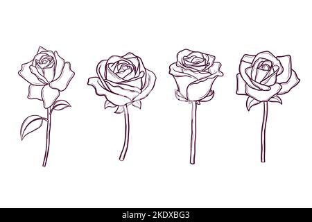 Set von handgezeichneten Rosenblüten Stock Vektor