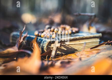 Hölzerne Rosenkranzperlen und ein heiliges bibelbuch, das auf den Herbstblättern liegt. Stockfoto