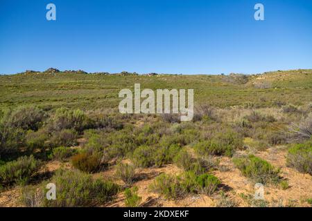 Panorama der Landschaft im nördlichen Cederberg-Gebirge Stockfoto