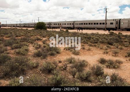 Indian Pacific Railway hält an der abgelegenen Siedlung Cook auf der Nullarbor-Ebene in Südaustralien Stockfoto