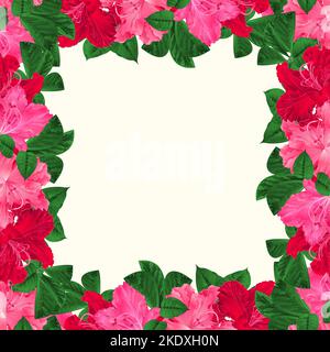 Blumenrahmen festlichen Hintergrund mit blühenden Ästen rosa und roten Blumen Rhododendren Vektor Illustration Grußkarte editierbare Handzeichnungen Stock Vektor