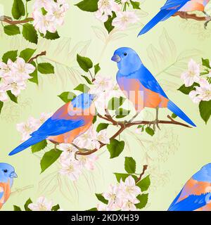 Nahtlose Textur Bluebirds drosseln kleine Singbirdons auf einem Apfelbaum Zweig mit Blumen Vintage Vektor Illustration editierbare Hand zeichnen Stock Vektor