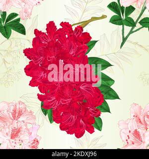 Nahtlose Textur Blumen rot und hellrosa Rhododendren Zweige Strauch vintage Vektor Illustration editierbar Handzeichnen Stock Vektor