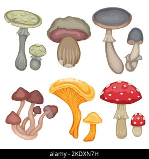 Vektor-Set von bunten Cartoon verschiedene giftige Pilze aus dem Hintergrund isoliert. Amanita und falsche Pilze. Natürliche Cliparts Kollektion für Logos Stock Vektor