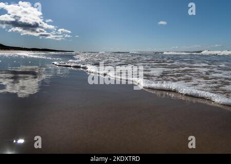 Ostseeküste im Frühling. Stockfoto