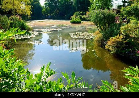 Giverny Normandie Frankreich. Das Haus von Monet. Seerosen im Garten von Claude Monet Stockfoto