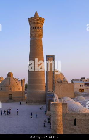 BUCHARA, USBEKISTAN - 08. SEPTEMBER 2022: Blick auf das alte Kalon-Minarett (Arslankhan-Minarett) an einem Septemberabend Stockfoto