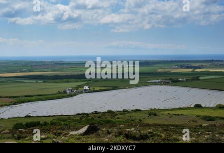 Feld bedeckt mit einer Kunststoffmembran, um Kartoffelpflanzen vor Frost zu schützen, West Cornwall, Großbritannien - John Gollop Stockfoto