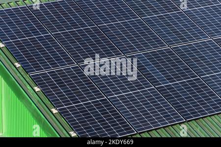 Solarpaneele auf einem grünen Dach montiert. Saubere Energie Stockfoto