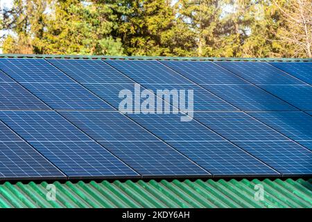 Solarpaneele auf einem grünen Dach montiert. Saubere Energie Stockfoto