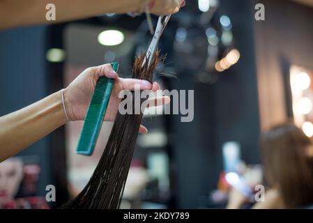 Friseur schneidet Kundenhaare Stockfoto