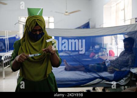 Dhaka, Bangladesch. 9.. November 2022. Die Dengue-Situation in Bangladesch ist viel schlimmer als in den letzten Jahren. Zwischen Januar 1 und November 8 starben insgesamt 182 Menschen an der Dengue-Krankheit. Mit den neuen Fällen stieg die Gesamtzahl der Dengue-Patienten in diesem Jahr auf 44.802, während etwa 41.397 Patienten aus den Krankenhäusern entlassen wurden. (Bild: © Md. Rakibul Hasan/ZUMA Press Wire) Bild: ZUMA Press, Inc./Alamy Live News Stockfoto