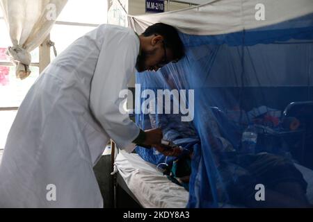 Dhaka, Bangladesch. 9.. November 2022. Die Dengue-Situation in Bangladesch ist viel schlimmer als in den letzten Jahren. Zwischen Januar 1 und November 8 starben insgesamt 182 Menschen an der Dengue-Krankheit. Mit den neuen Fällen stieg die Gesamtzahl der Dengue-Patienten in diesem Jahr auf 44.802, während etwa 41.397 Patienten aus den Krankenhäusern entlassen wurden. (Bild: © Md. Rakibul Hasan/ZUMA Press Wire) Bild: ZUMA Press, Inc./Alamy Live News Stockfoto