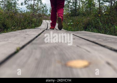 Holzweg in Vasenieki Moor, Westletten. Stockfoto