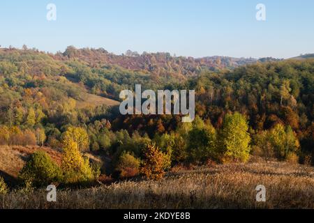 Hügel überwuchert mit buntem Wald im Herbst, sonnenbeschienen von der Abendsonne, Herbstlandschaft mit Hügeln überwuchert in üppigem Wald Stockfoto