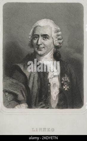 Carl Linnaeus (1707-1778). Schwedischer Naturforscher und Botaniker. Er etablierte binomiale Nomenklatur. Hochformat. Gravur von Geoffroy. „Historia Universal“, von César Cantú. Band VI. 1857. Stockfoto