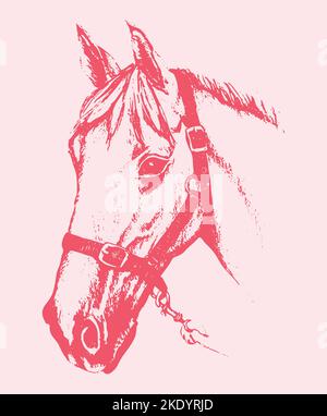Ein Porträt eines Pferdes im Skizzenstil in rosa Farbtönen Stock Vektor