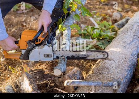 Baumann schneidet Bäume mit Rodung Wald für neues Haus mit Kettensäge Stockfoto