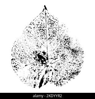 Blattdruck mit Tinte. Für Entwürfe über Natur, Pflanzen, Leben. Schwarz isoliert auf Weiß Stockfoto