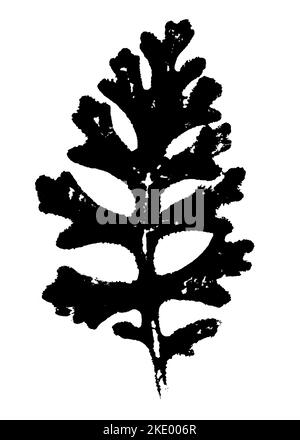 Blattdruck mit Tinte. Für Entwürfe über Natur, Pflanzen, Leben. Schwarz isoliert auf Weiß Stockfoto