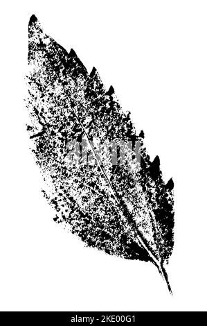 Blattdruck mit Tinte. Für Entwürfe über Natur, Pflanzen, Leben. Schwarz isoliert auf Weiß Stockfoto