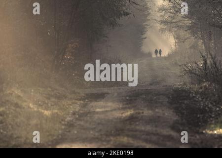 Eine Sepia aus zwei menschlichen Silhouetten am Ende eines langen Weges inmitten eines dunklen, gruseligen Waldes Stockfoto