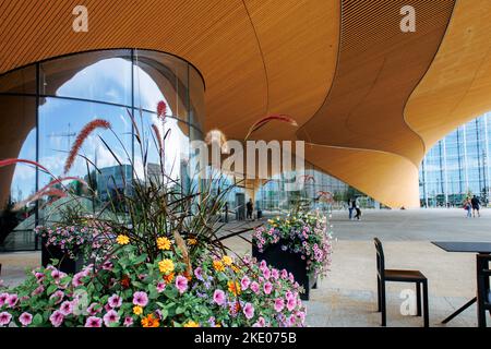 Helsinki, Finnland - 22. August 2022: Helsinki Central Library Oodi mit kreisförmigem Holzdach und Glasfenstern. Lebendiger Treffpunkt mit einer Reihe von Dienstleistungen in modernem Design am Kansalaistori Platz. Stockfoto