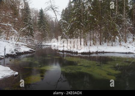 Saula blaue Quellen (siniallikad in Estnisch) bei verschneiten Winter Stockfoto